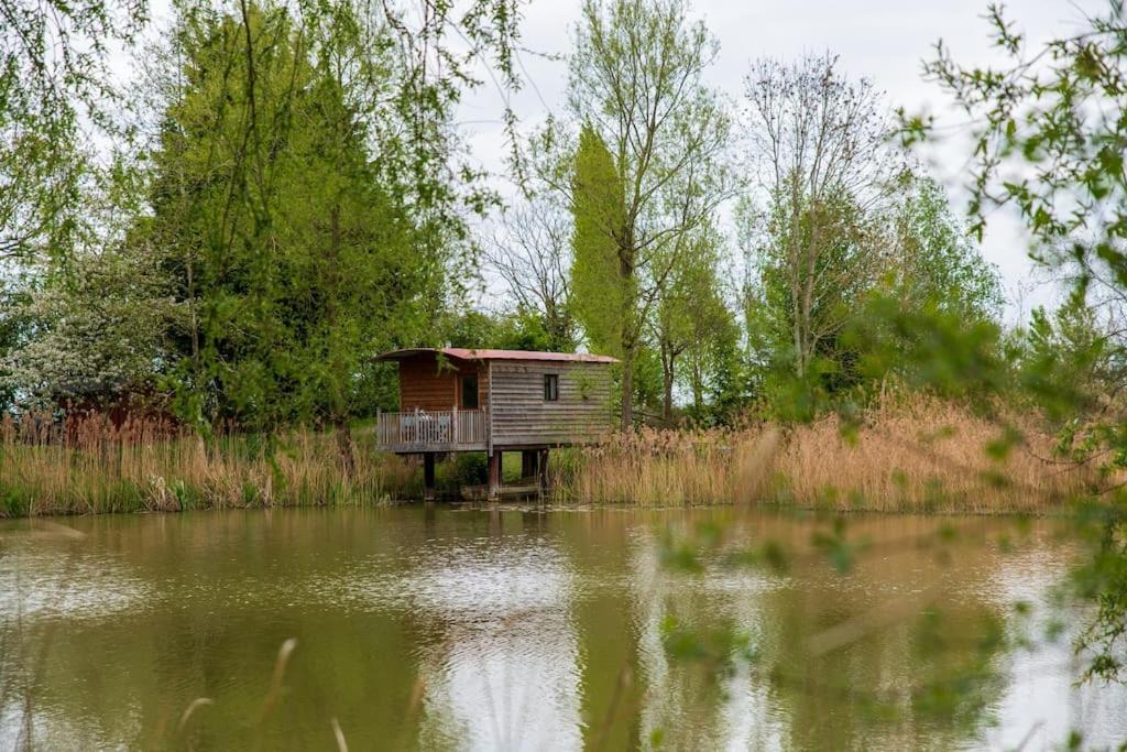 Lakeside Cabin On Stilts- 'Kingfisher' Rous Lench エクステリア 写真