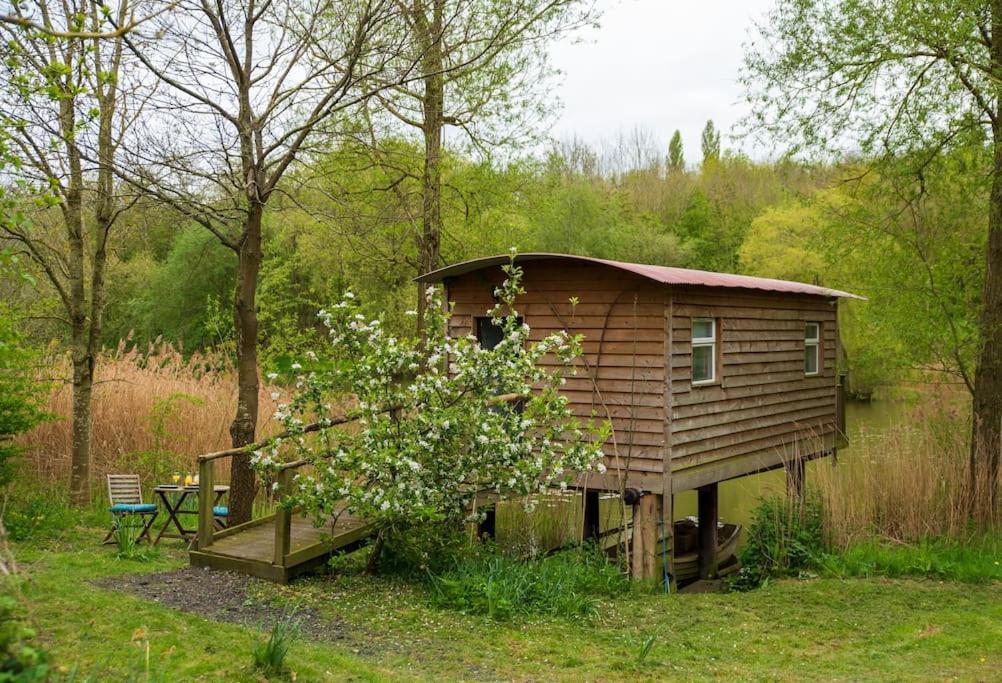 Lakeside Cabin On Stilts- 'Kingfisher' Rous Lench エクステリア 写真